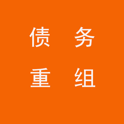 新竹镇个人债务重组优化